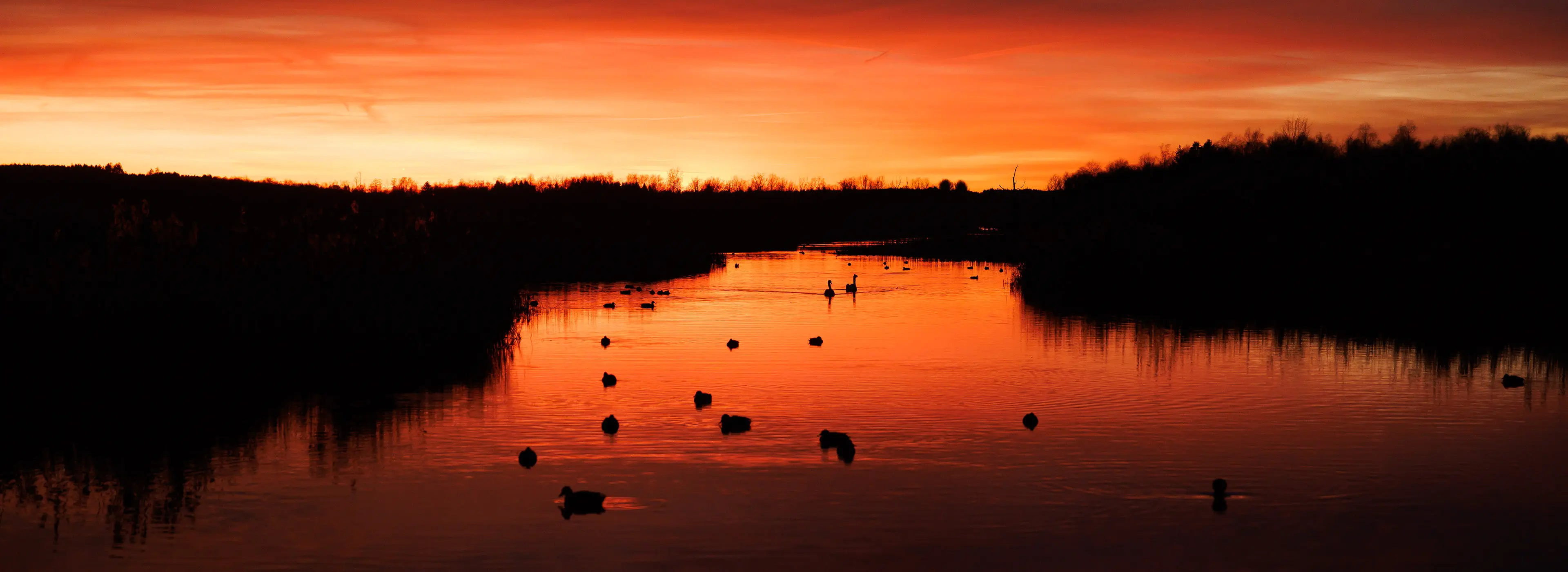 Abendrot am Federsee Bad Buchau